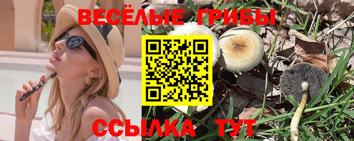 Псилоцибиновые грибы мицелий  Вход с VPN  Псилоцибиновые грибы прущие грибы  Наро-Фоминск 